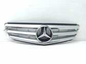 Front bumper upper radiator grill