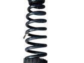 Rear coil spring