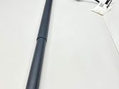 Tailgate/trunk strut/damper