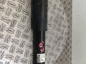 Rear shock absorber/damper