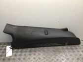 (C) pillar trim