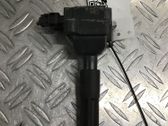 Zündspule Zündmodul