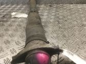 Stoßdämpfer hinten