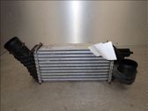 Intercooler radiator
