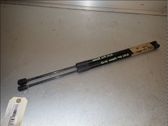 Tailgate/trunk strut/damper