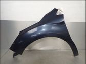 Fender