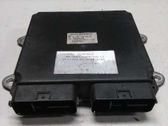 Unidad de control/módulo del motor