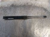 Tailgate/trunk strut/damper