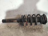 Amortiguador delantero con muelle espiral