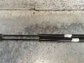 Tailgate/trunk strut/damper