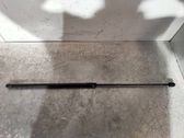 Front bonnet/hood damper/strut