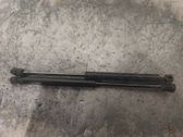 Front bonnet/hood damper/strut