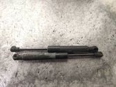 Front bonnet/hood damper/strut