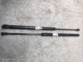 Tailgate/trunk strut/damper