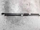 Front bonnet/hood damper/strut