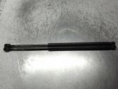 Tailgate/trunk strut/damper