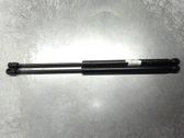 Tailgate/trunk strut/damper