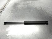 Tailgate/trunk strut/damper