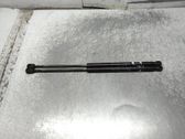 Tailgate/trunk strut/damper
