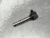 Bobine d'allumage haute tension