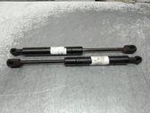 Front bonnet/hood damper/strut