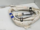 Airbag de la puerta delantera