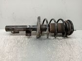 Amortiguador delantero con muelle espiral