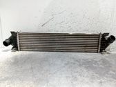 Radiador intercooler