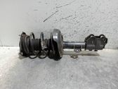 Amortiguador delantero con muelle espiral
