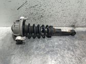 Rear shock absorber/damper