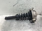 Rear shock absorber/damper