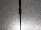 Front bonnet/hood damper/strut