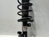 Front shock absorber with coil spring