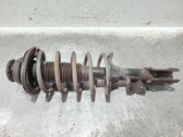 Amortiguador delantero con muelle espiral
