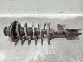 Amortiguador delantero con muelle espiral