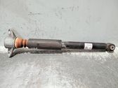 Stoßdämpfer hinten