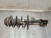 Front shock absorber with coil spring