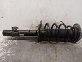 Amortiguador delantero con muelle espiral
