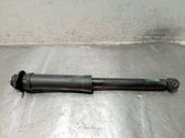 Stoßdämpfer hinten
