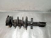 Amortiguador delantero con muelle espiral