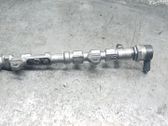 MONO injection