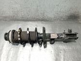 Front shock absorber with coil spring