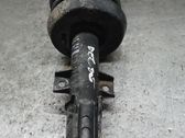 Front shock absorber with coil spring