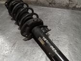 Amortiguador delantero con muelle espiral