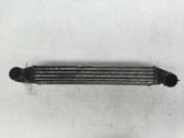 Intercooler radiator