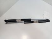 Tailgate/trunk strut/damper