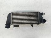 Radiador intercooler