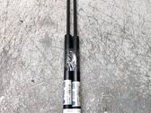 Tailgate/trunk strut/damper