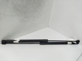 Tailgate/trunk strut/damper