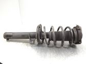 Front shock absorber with coil spring